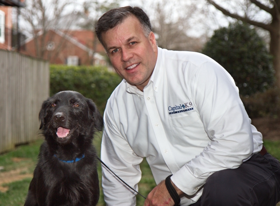 Capital K9 Bed Bug Solutions - Alexandria, VA