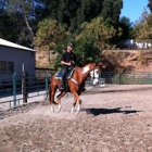 A Partner For Life Horsemanship