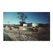 Gallery Image Number 5