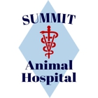 Equine Vet Service