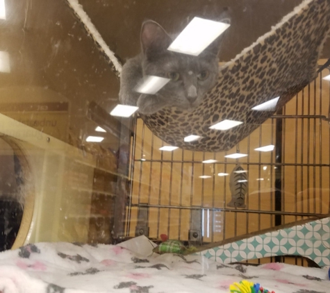 PetSmart - Culver City, CA