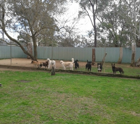 Berrima Boarding Kennels & Cattery - Berrima, NSW