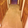 Professional Carpet & Upholstery Cleaning, Inc.