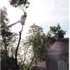 Cincinnati Tree Care gallery