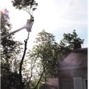 Cincinnati Tree Care - Firewood