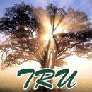 Trees "R" Us, Inc. - Landscaping & Lawn Services