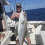 Sea hawk fishing charters