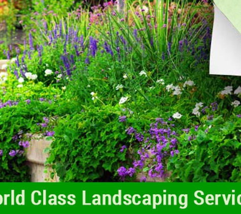 Foster Paving and landscaping. World Class Landscaping Services