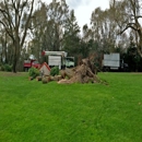 Tree Tops Tree Service - Tree Service