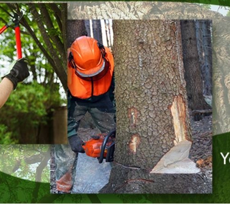 Expert Tree Service Inc - National Park, NJ