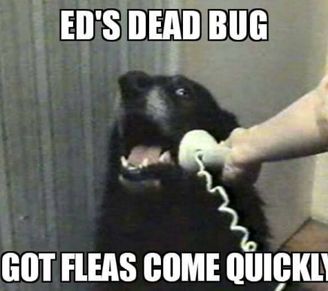 Ed's Dead Bug, LLC