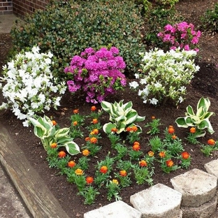 Max Landscaping - Raleigh, NC