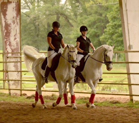 Deanna Thompson Dressage - Catawba, SC