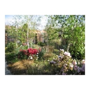 Gallery Image Number 2
