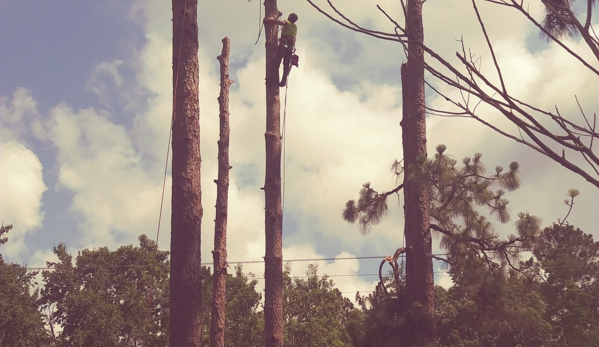 Climbing High Tree Specialists, LLC - Biloxi, MS