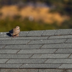 Hermitage Roofing Co