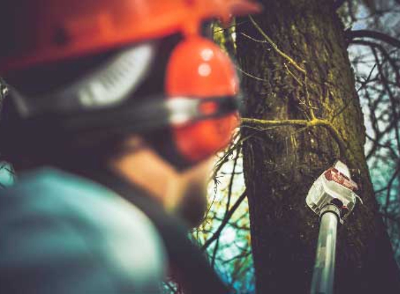 All Tree Services Aust. - Andergrove, QLD