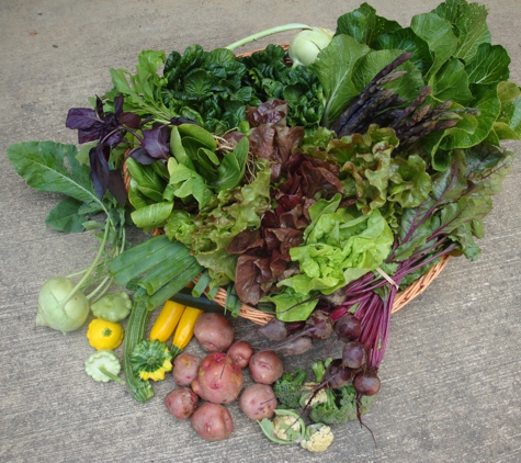 Cane Creek CSA - Fairview, NC