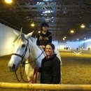 Meadowview Farm - Horse Training