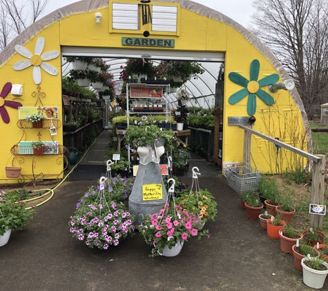 Petal 'n' Roots Nursery and Greenhouse - Porterfield, WI