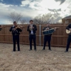 Mariachis en Dallas, TX - Mariachi Misterio de Dallas, Texas gallery