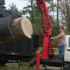 Professional 4 Life Enterprises-Tree Service