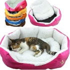 Buy Online Cat Supplies