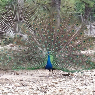 Wonder World Cave and Park - San Marcos, TX