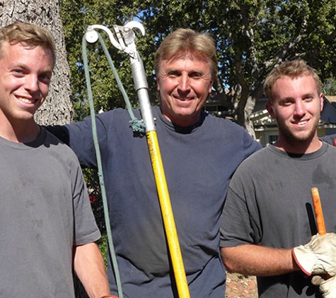 Budget Tree Service - Westlake Village, CA