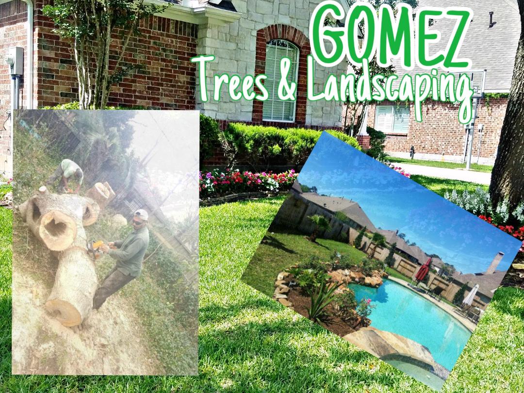 Gomez Trees & Landscaping