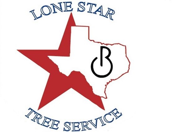 Olvera Tree Services, Inc.  dba Olvera Lone Star Tree Services - Tomball, TX