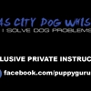 Earls K9 Services AKA The Original Kansas City Dog Whisperer gallery