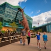 The Children's Museum of Indianapolis gallery