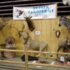 Peyser Taxidermy gallery