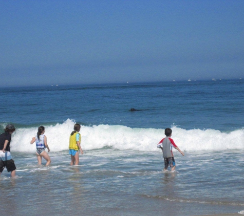 Chatham Boat Tours - Chatham, MA