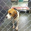 Kenton County Animal Shelter - Animal Shelters