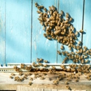 Pickett Pest Control - Pest Control Services