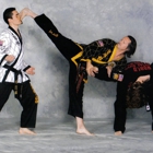 World Martial Arts Academy