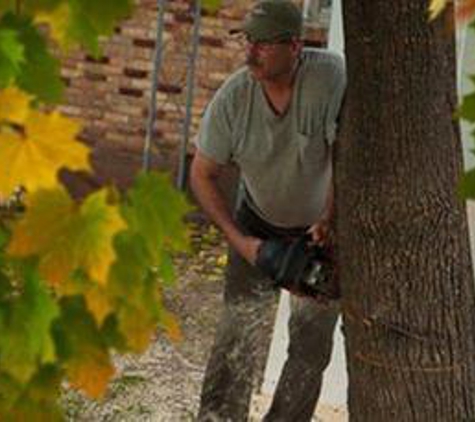 Central Wisconsin Tree Service - Oshkosh, WI