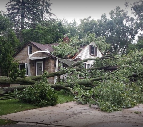 Halo Tree Service - Shelby charter Township, MI. Storm damage