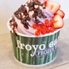 Froyo Earth gallery