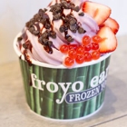 Froyo Earth