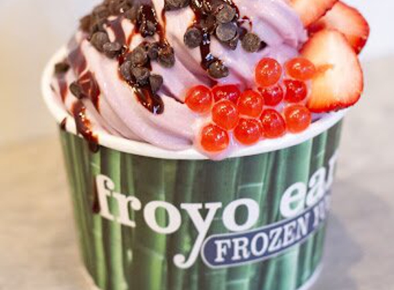 Froyo Earth - Colbert, WA