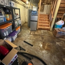 Flood Damage Pro - Water Damage Restoration