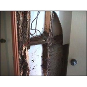 Gallery Image Number 7