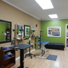 Dog Grooming Studio gallery