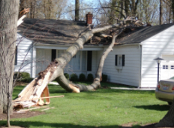 C Nicols Tree Service - Conneaut Lake, PA