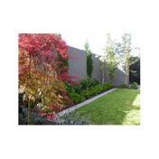 Gallery Image Number 8