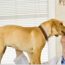 South Dixie Animal Hospital - Veterinarians