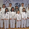 Wilmington Shorin-Ryu Karate Club gallery